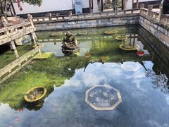 -上海醉白池公园