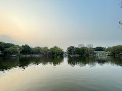 -荔湾湖公园