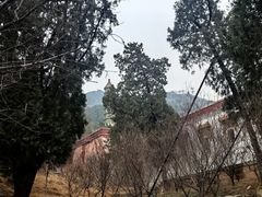 -香山公园