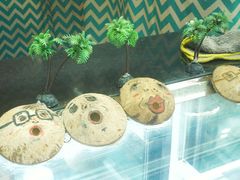 -椰爺爺·椰子冻砵仔糕