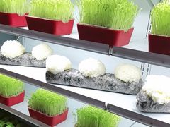 -番食园鲜食火锅(高新店)