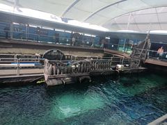 -悉尼海洋生物水族馆