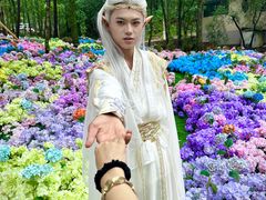 -洛阳白云山景区