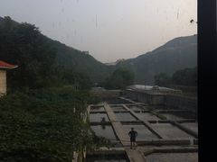 -天源渔港农庄
