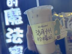 -猫的魔法密林(衣裳街店)