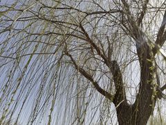 -天津东丽湖风景区