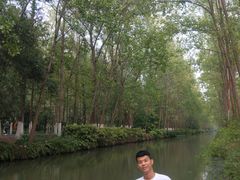 -合肥滨湖国家森林公园