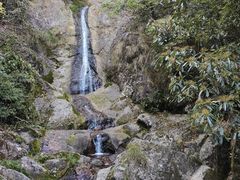 -东天目山风景区