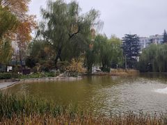 -西安市长乐公园