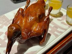 -大鸽饭(体育西路店)