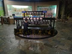 -东莞市科学技术博物馆