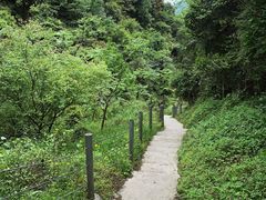 -龙窝子
