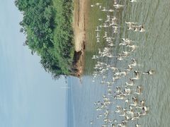 -鄱阳湖国家湿地公园