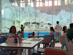 -帝企鹅自助餐厅•儿童岛•真企鹅(长隆企鹅酒店)