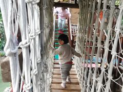 -呀路古热带植物园