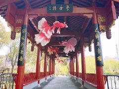 -南汇桃花村