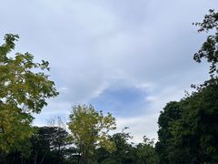 -福田红树林生态公园