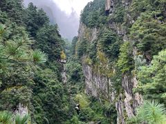 -苍山感通索道