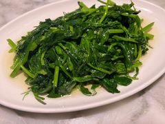 豌豆苗-懒人盐府人家(航天桥店)