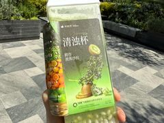-首开·龙湖成都西宸天街