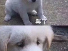 -MAX伯爵沉浸式超级游戏体验馆·实景桌游·剧本杀(小时代店)