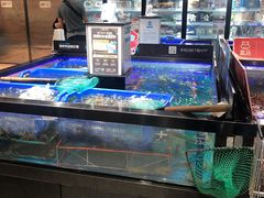 水产区-盒马鲜生(岭南新世界店)