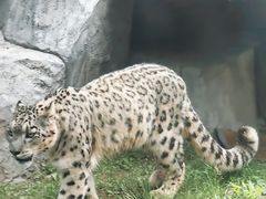 -青藏高原野生动物园