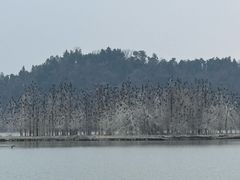 -东湖落雁景区