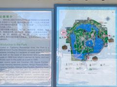 -团结湖公园
