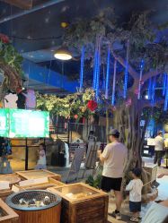 -酷嗒动物文化乐园(cutezoo西溪乐天城店)