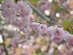 -白塘生态植物园