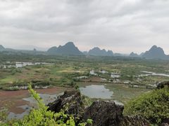 -会仙湿地