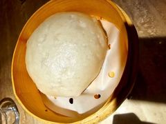 -佬肥猫(七宝宝龙店)