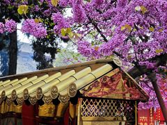 -西安市广仁寺