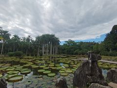 -西双版纳原始森林公园