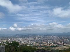 -风云岭森林公园