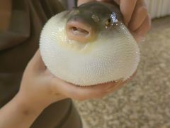 -肆月河豚·淮扬菜·湘菜(华天店)