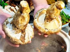 -名善山珍·野生菌汤锅(文殊院店)