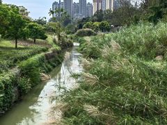 -广西壮族自治区药用植物园
