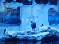 -华夏文旅海洋公园