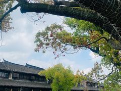 -黎里古镇