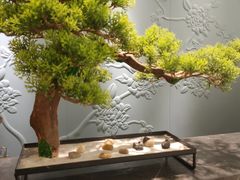 -华夏良子·足道SPA艾灸(铁道大厦店)