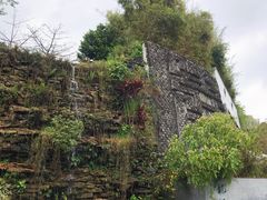 -广州神农草堂中医药博物馆