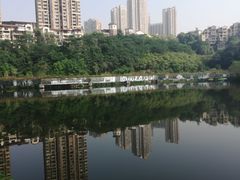 -重庆彩云湖湿地公园