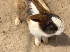 -前小桔亲子创意农场·草莓采摘·露营烧烤