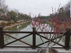 -上海海湾国家森林公园