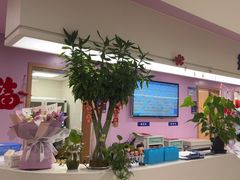 -上海市第四人民医院