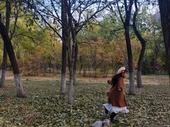 -长白岛森林公园