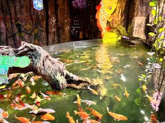 -正佳雨林生态植物园