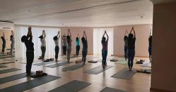 -酉嘉瑜伽YO+YOGA